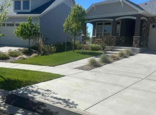 Yehor S.'s turf maintenance service result