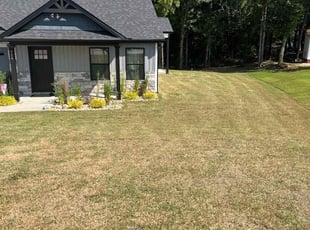 Joe S.'s turf care service result