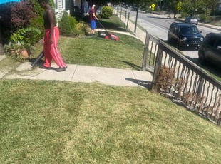 Arlene S.'s grass cutting service result