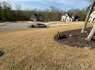 Margie S.'s lawn maintenance service result