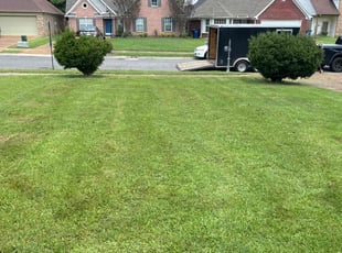 Khanada T.'s turf care service result