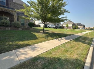 Marianne &amp;.'s lawn service service result