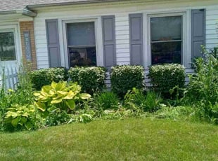 Chasity J.'s Bush Trimming service result