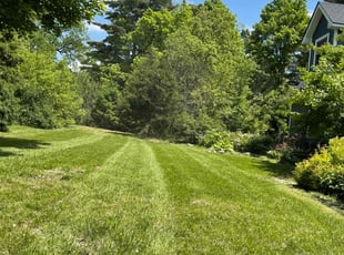 Viktor A.'s lawn service service result