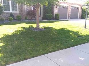 Jordan C.'s landscaping service result