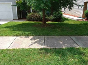 Tiffani W.'s turf maintenance service result