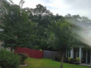 Rosetta P.'s lawn service service result