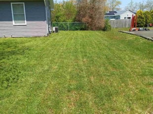 Chrissy P.'s turf care service result