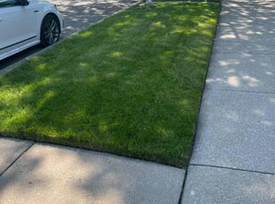 Brenda M.'s grass maintenance service result