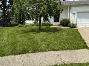 Matt R.'s turf maintenance service result