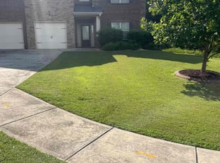 Travis H.'s lawn service service result