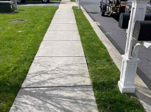 Youssef R.'s turf care service result