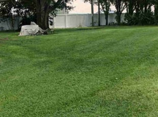 Ja&#039;Von H.'s lawn maintenance service result