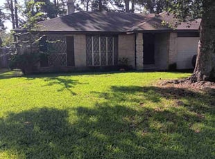 Montu P.'s lawn care service result