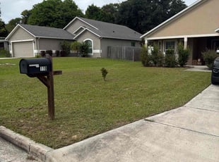 Arien H.'s lawn care service result