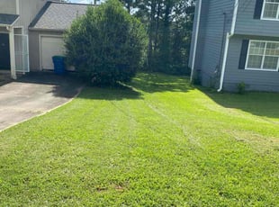Bonita T.'s grass cutting service result