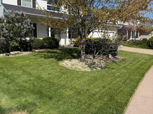 Carole L.'s lawn care services service result