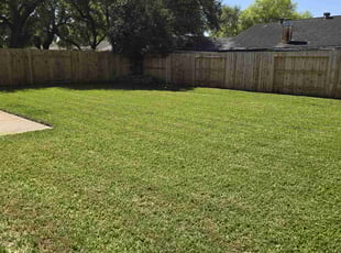 Ricardo M.'s turf care service result