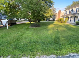 Cheri M.'s turf maintenance service result
