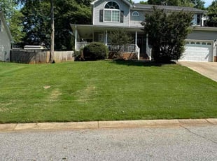 Patricia N.'s lawn care services service result