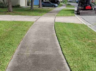 Asia S.'s lawn maintenance service result