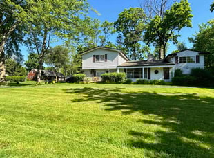 Terri B.'s lawn care service result