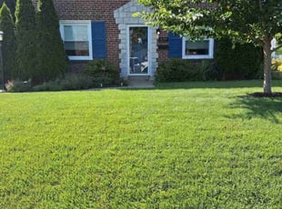 Jenna S.'s lawn care service result