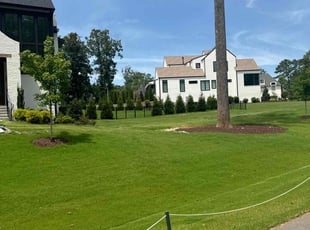 Samantha Q.'s lawn service service result