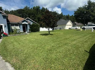 Renee B.'s turf maintenance service result