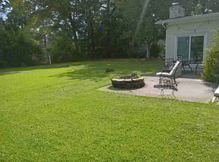 Simeon J.'s grass maintenance service result
