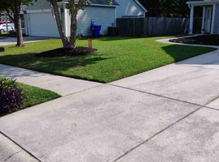 Bri V.'s turf care service result