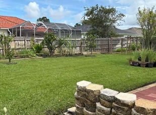 Helen H.'s turf care service result