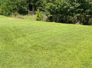 Kevin B.'s lawn maintenance service result