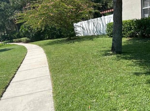 Jennifer A.'s grass maintenance service result
