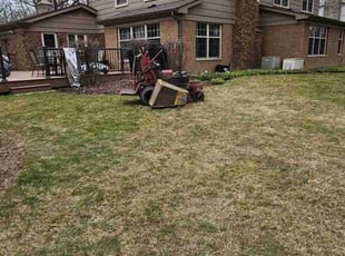 Miguel M.'s Leaf Removal service result