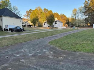 Michael P.'s turf maintenance service result