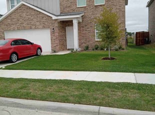 Yvonne B.'s turf care service result