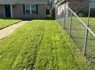 Cassie M.'s turf care service result