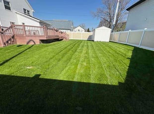 Kimistry V.'s grass maintenance service result