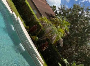Frank M.'s grass maintenance service result
