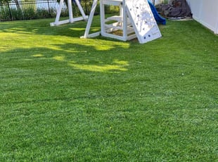 Thomas P.'s turf maintenance service result