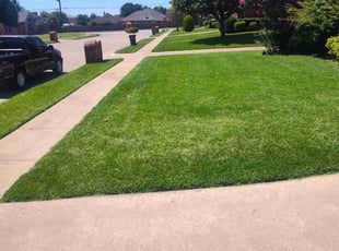 Jonathan M.'s grass maintenance service result