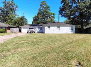 Jose C.'s grass cutting service result