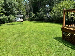 Darius A.'s lawn service service result