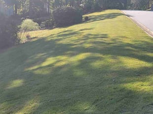 Lily d.'s lawn care service result