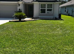 Alexis P.'s landscaping services service result