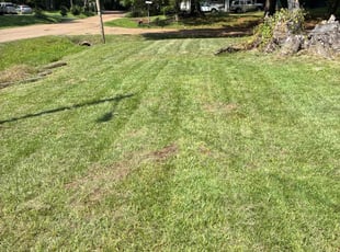 Mike H.'s lawn care services service result