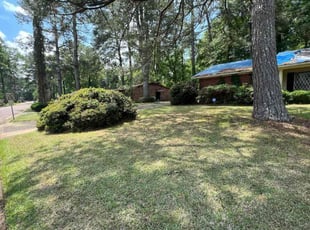 Steven B.'s lawn service service result