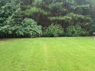 Steve A.'s lawn maintenance service result