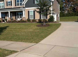 Donald G.'s turf maintenance service result